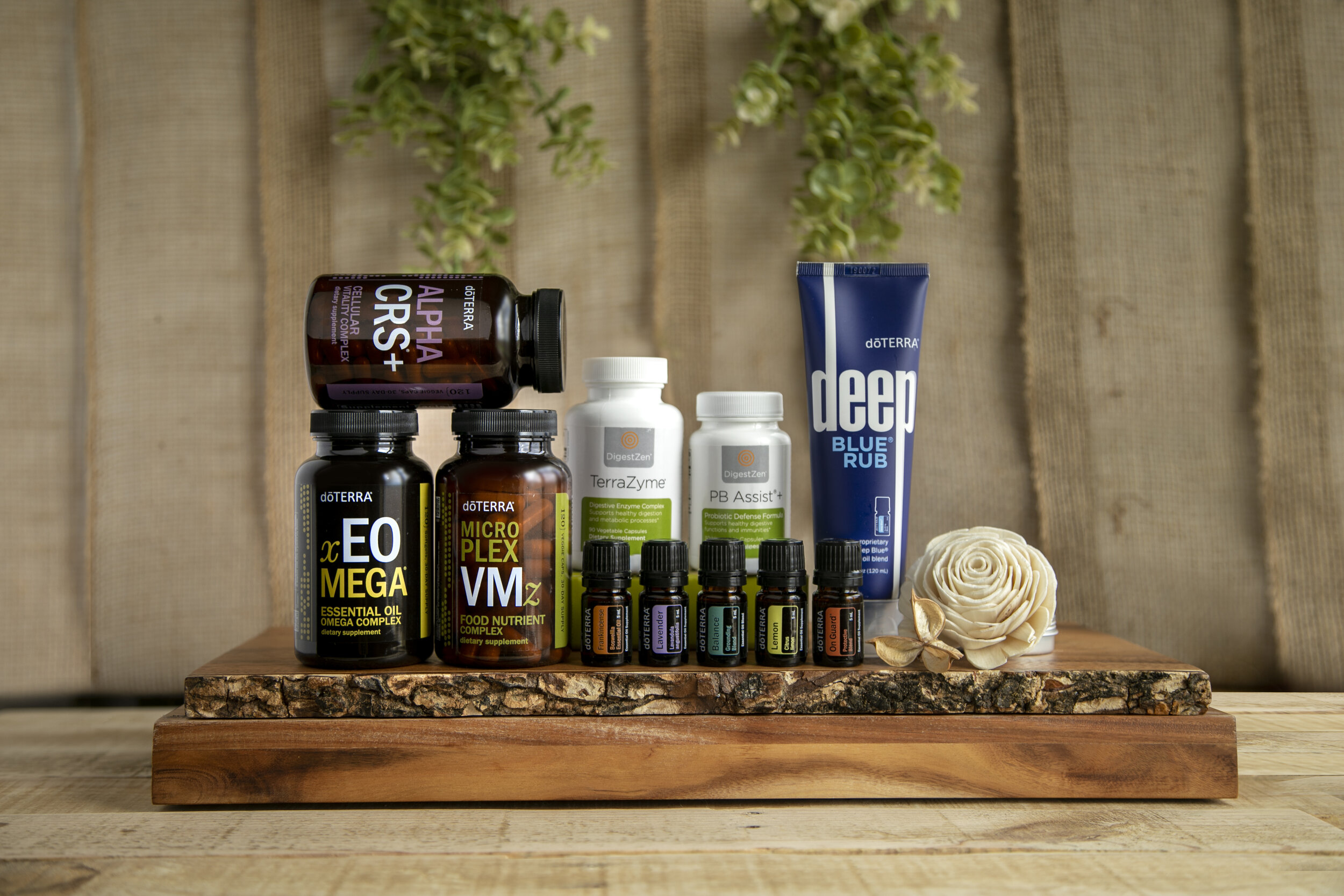 Get Started with Oils — Sarah Geissinger
